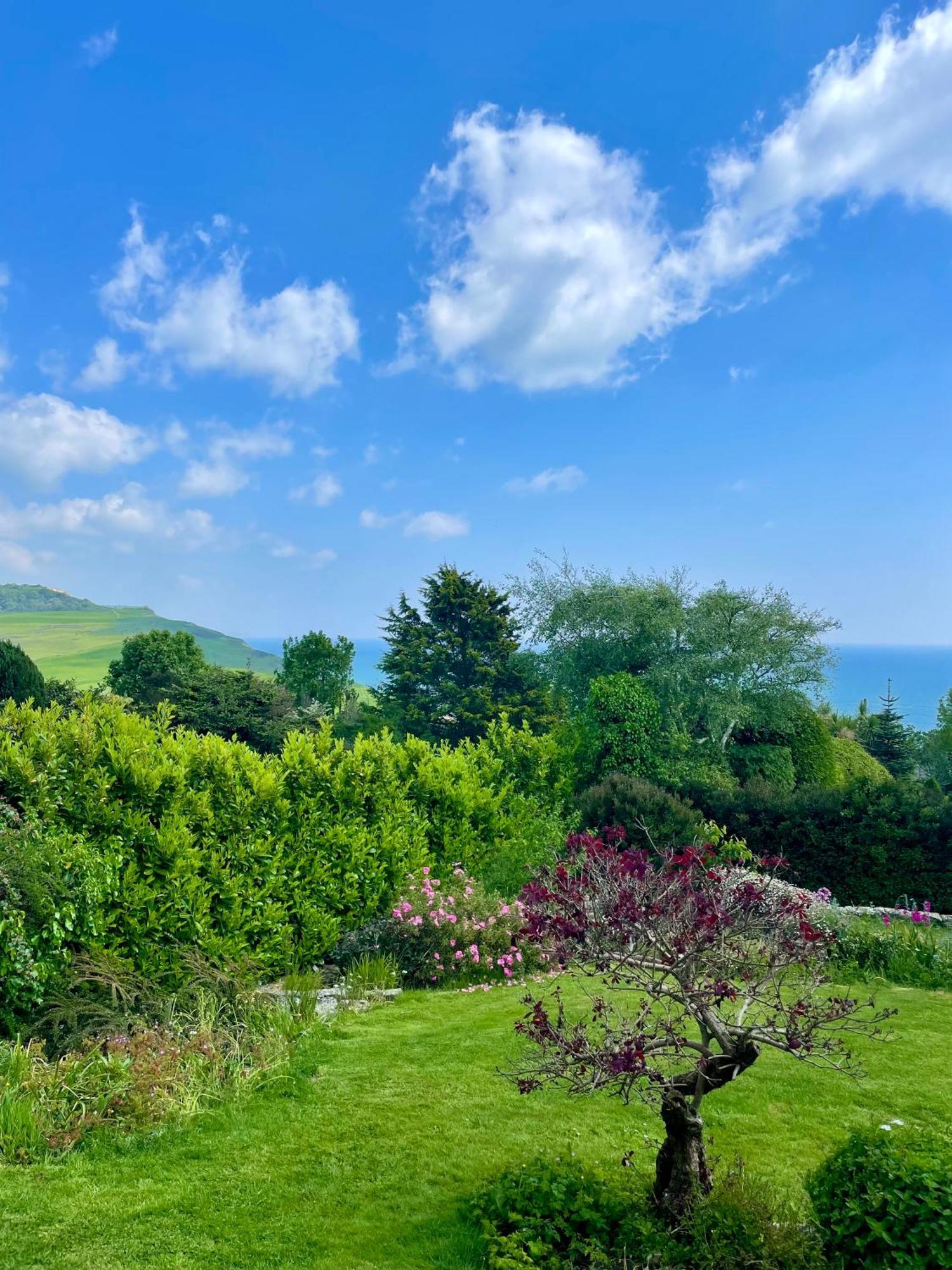 Stunning Charmouth Property With Bay Views! Esterno foto
