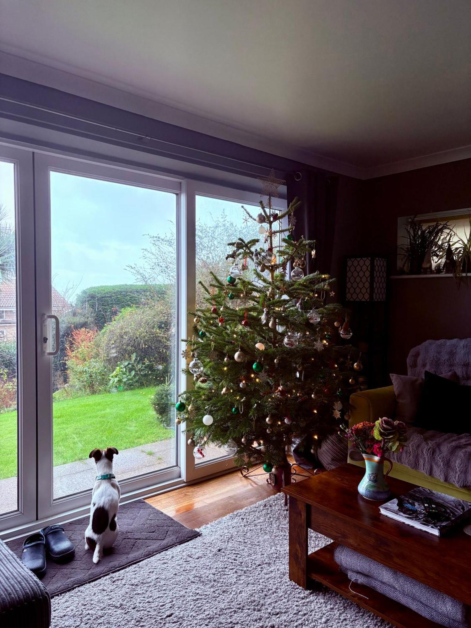 Stunning Charmouth Property With Bay Views! Esterno foto